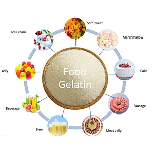 Best Selling Beef Skin Halal Gelatin for Gummy